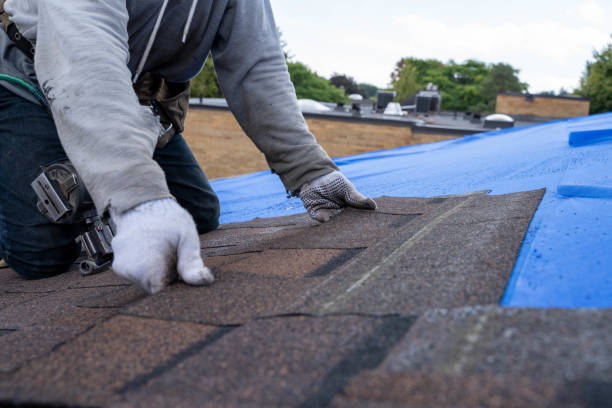 Quick and Trustworthy Emergency Roof Repair Services in Stillwater, MN